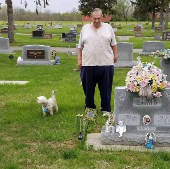 Meet your Posher, Jimmy - Picture 1 of 1